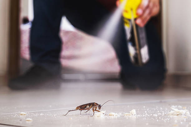 Reliable Kechi, KS Pest Control Solutions